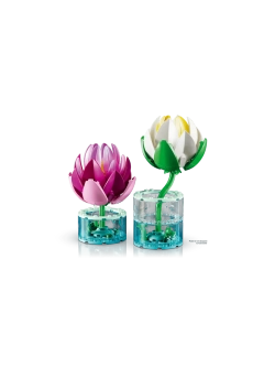 Конструктор LEGO Botanicals 11511 Водяные Лилии, белый/розовый