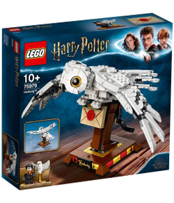 Конструктор LEGO Harry Potter Букля | 75979