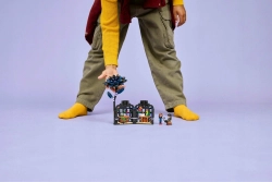 Конструктор LEGO Wednesday 76784 Цветок черного георгина