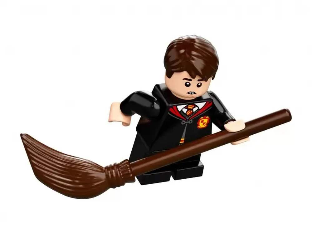 Конструктор LEGO Harry Potter Хогвартс: первый урок полётов | 76395