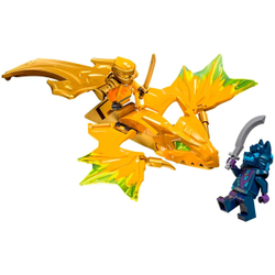 Конструктор LEGO Ninjago Удар восходящего дракона Арина | 71803
