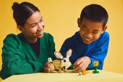 Конструктор LEGO CREATOR 31162 Милый кролик