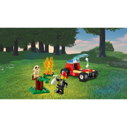 Конструктор LEGO City Лесные пожарные | 60247