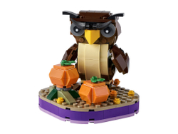 Конструктор LEGO BrickHeadz Хэллоуинская сова | 40497