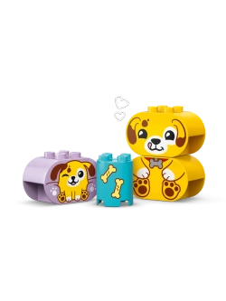 Конструктор LEGO DUPLO 10441 Сортер фигур: Домик для щенков