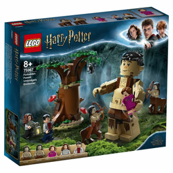 Конструктор LEGO Harry Potter Грохх и Долорес Амбридж | 75967