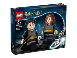 Конструктор LEGO Harry Potter Гарри Поттер и Гермиона Грейнджер | 76393
