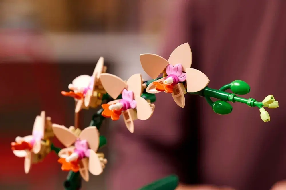 Конструктор LEGO Коллекционные наборы 10343 Мини-орхидея