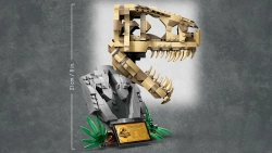 Конструктор LEGO Jurassic World Череп T.Rex | 76964
