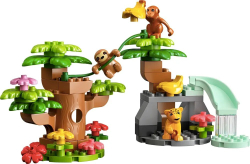 Конструктор LEGO DUPLO Wild Animals of South America | 10973