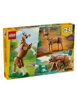 Конструктор LEGO Creator 31166 Прекрасная лошадь 3 в 1