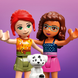 Конструктор LEGO Friends Электромобиль Оливии | 41443