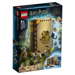 Конструктор LEGO Harry Potter Учёба в Хогвартсе Урок травологии | 76384