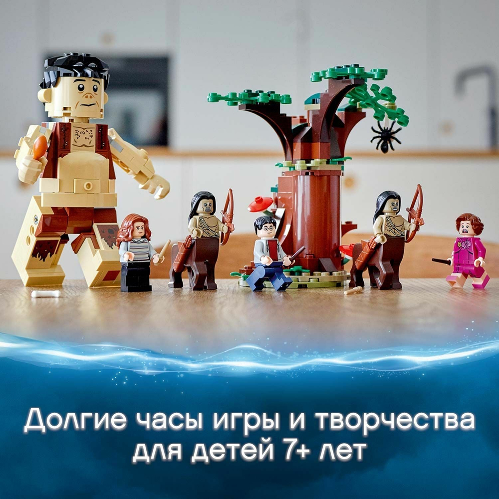 Конструктор LEGO Harry Potter Грохх и Долорес Амбридж | 75967