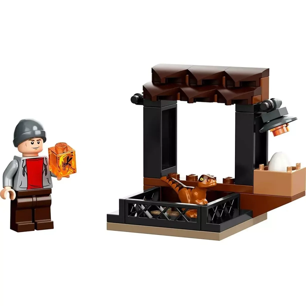 Конструктор LEGO Jurassic World Рынок динозавров | 30390